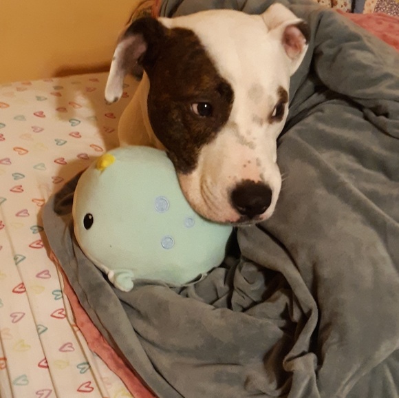 floradogfarm123